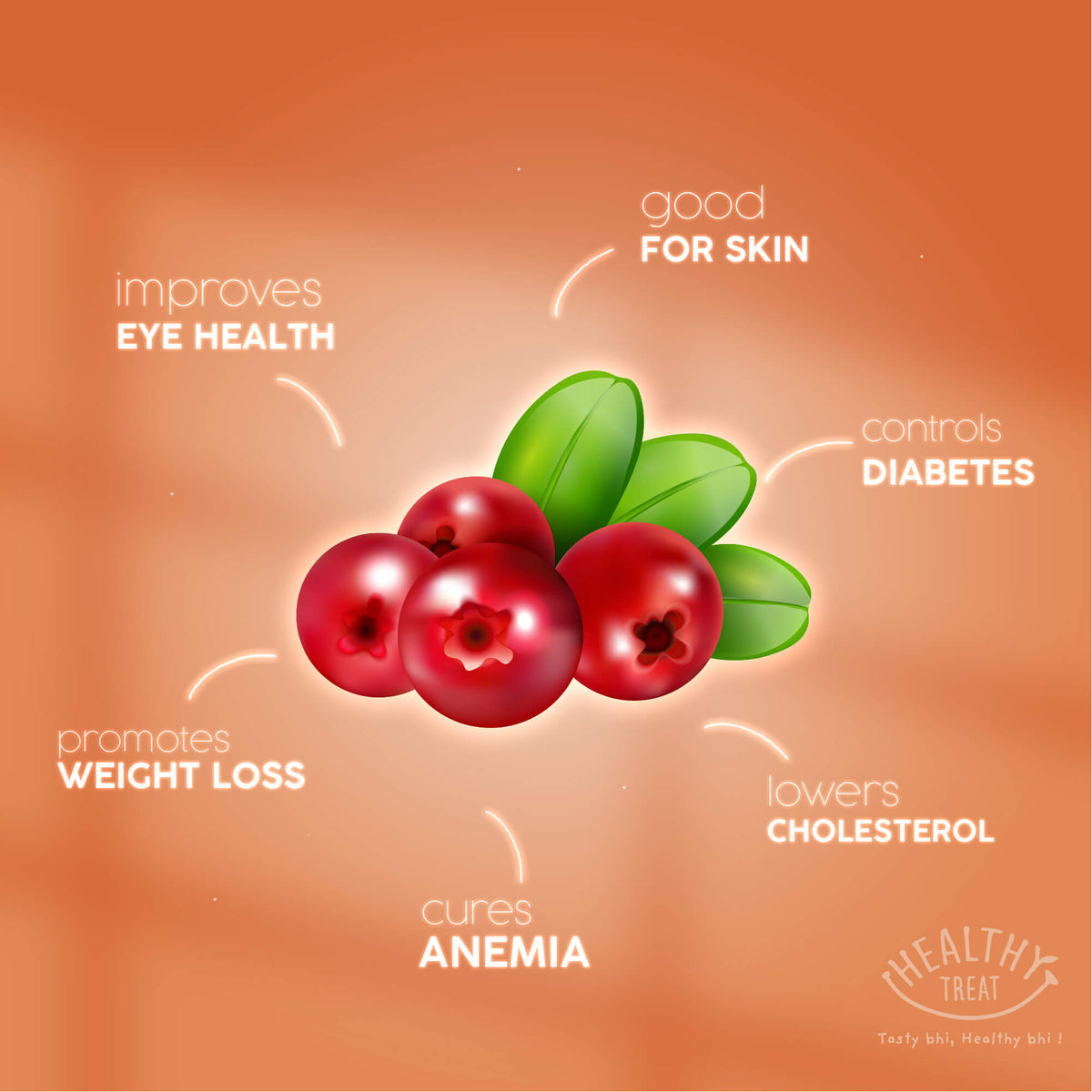 chatpati dried cranberry